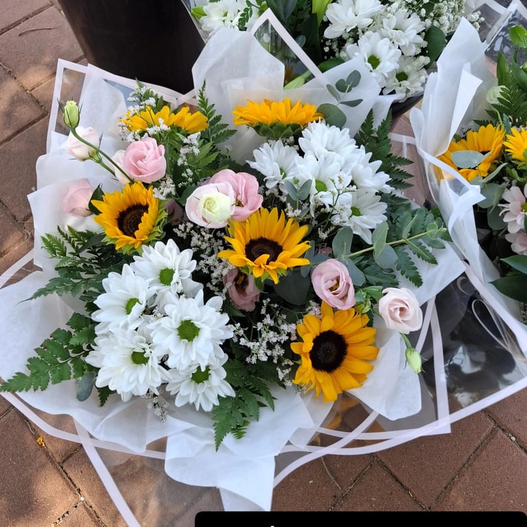 פרחי שלומית